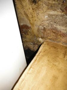 430697_348719025238438_1356613696_n